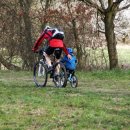 기억과 기억 이미지