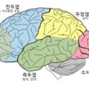 그림책정원 이미지