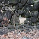 돌담이네 이미지