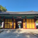동화사 티스토리