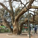 느티나무내과의원 이미지