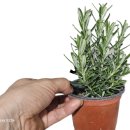 초계꽃식물원 이미지