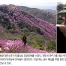 강화 고려산등 당일치기 맞춤 여행 이미지