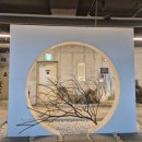 구로마쯔 이미지