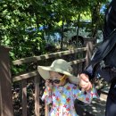 옥계매점식당 | 거제 아기랑 옥계해수욕장 이용후기