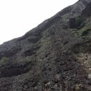 마산할매아구 이미지