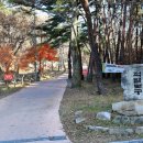 용연사주차장 | 달성군 - 달성 용연사 금강계단