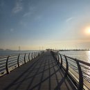 별빛공원 앞 횡단보도 | 거북섬 놀거리 마리나 경관브릿지 어린왕자포토존 거북섬 별빛공원 주차정보 야경