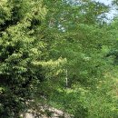 남촌동입구 이미지