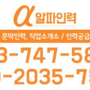 알파인력소개소