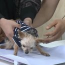 또또 이미지