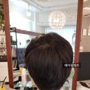 헤어팔레트 이미지