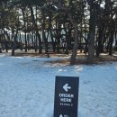 소양강로 R | 춘천 소나무 숲이 있는 대형카페 소울로스터리 옥수수 커피 추천