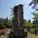 남전사 - 전주시 완산구 풍남문1길 19-2 | 경주 가볼만한곳 경주 천년숲정원 외나무다리 포토존 및 운영시간 주차 정보