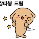 양평특수견 이미지