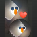 알줍 이미지