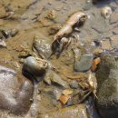 마포구청 이미지