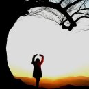 아주작은공간큰기쁨 Daum카페