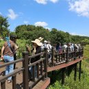 (테마투어)생태투어 이미지