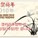 갤러리쥬얼리 Daum카페