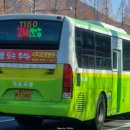 사파동214 이미지