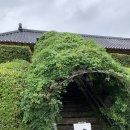 파파야농장 화장실 | 열대과일 온실이 있는 원주카페ㅣ원프리카ㅣ원주가볼만한곳