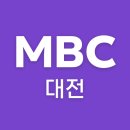 대전 mbc 백일홍 이미지