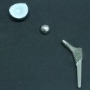 (주)비트러스트메디텍 | 소동물 인공고관절치환술(THR) 활성화될까? 비트러스트메디텍, 국내 최초 품목허가