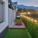 스테이더문 이미지