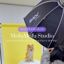 포토이즘박스상록수역점 티스토리