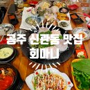 회마니 이미지
