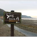 강진8호 이미지