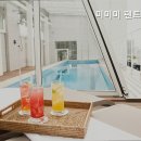 미미미 펜트하우스