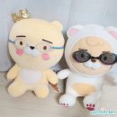 [수영 용품 추천] 노패킹 수경 5종 비교 및 추천 (아무리 생각해도 난 뷰블레이드F~) + 스피도 하엘 후기
