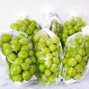 정이농장 이미지