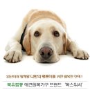 독스위시