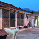 월오포레스트 이미지