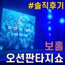 보홀쇼 오션 판타지 쇼 : 공연 솔직 후기