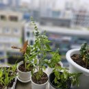 자동차도우미공업사 이미지