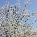 수타베이징 이미지