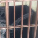 Radioactive 이미지