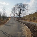 신대생태회랑2 이미지