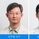 초록푸드 네이버블로그