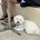 커피 하비 이미지