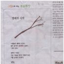 메타노이아2 이미지