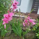 브니엘하우스 이미지