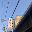 용산-서빙-180 | 용산 동백가옥 용리단길 레트로 감성 술집 보리차 무한리필 내돈내산 후기