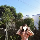 아라파니펜션 네이버블로그