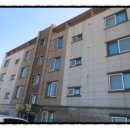 비다펠리스 이미지