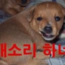 저기요